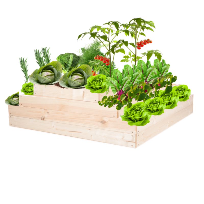 Skrzynia warzywna MODO24 regulowana donica 36x117x100 cm przezroczyste impregnowane drewno 1 szt