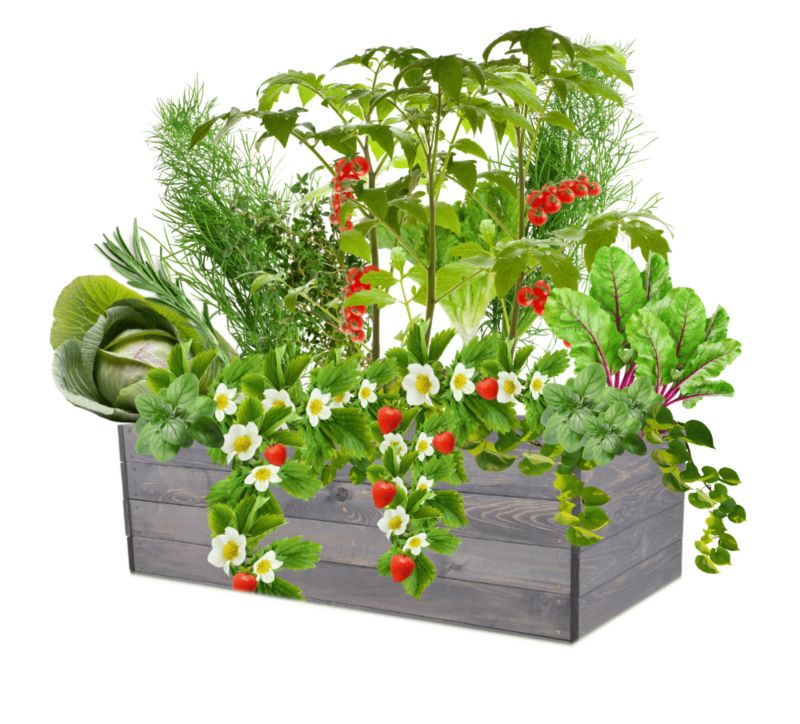 Donica na warzywa MODO24 grządka szara impregnacja 36x120x80 cm 1 szt.