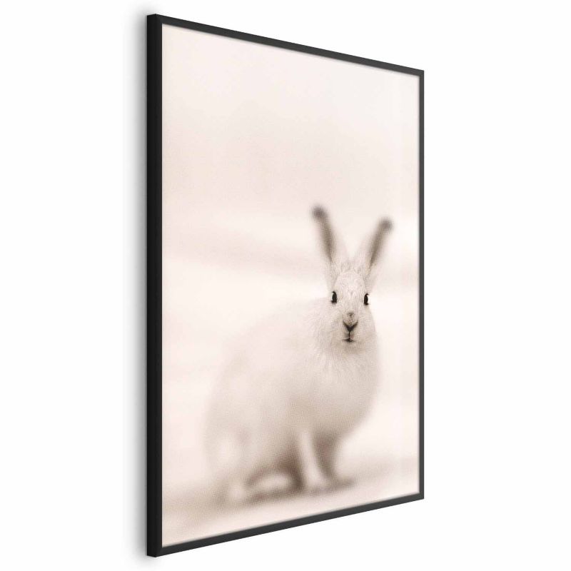 Plakat Artgeist Strachliwe spojrzenie 40x60 cm z ramą czarną 1 szt