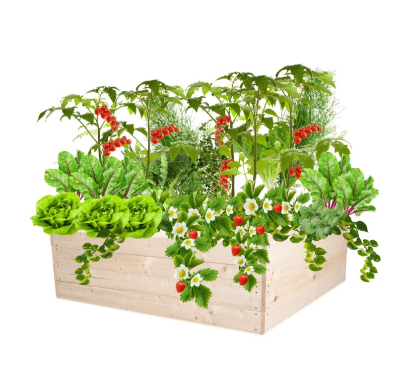 Donica na warzywa MODO24 grządka impregnowana przeźroczysta 36x103x100 cm 1 szt.