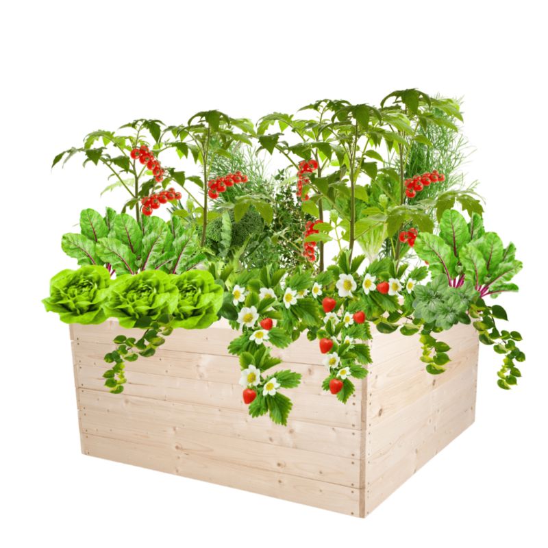 Donica na warzywa MODO24 warzywnik impregnowana przeźroczysta 54x120x117 cm 1 szt.