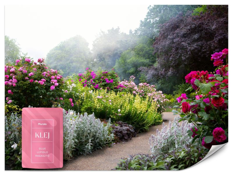 Fototapeta Muralo Kolorowe Kwiaty Natura 500x350 cm 1szt.