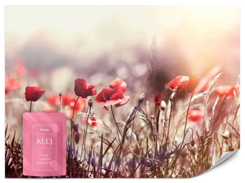 Fototapeta Muralo Polne Maki Dzika Natura 500x350 cm 1szt.