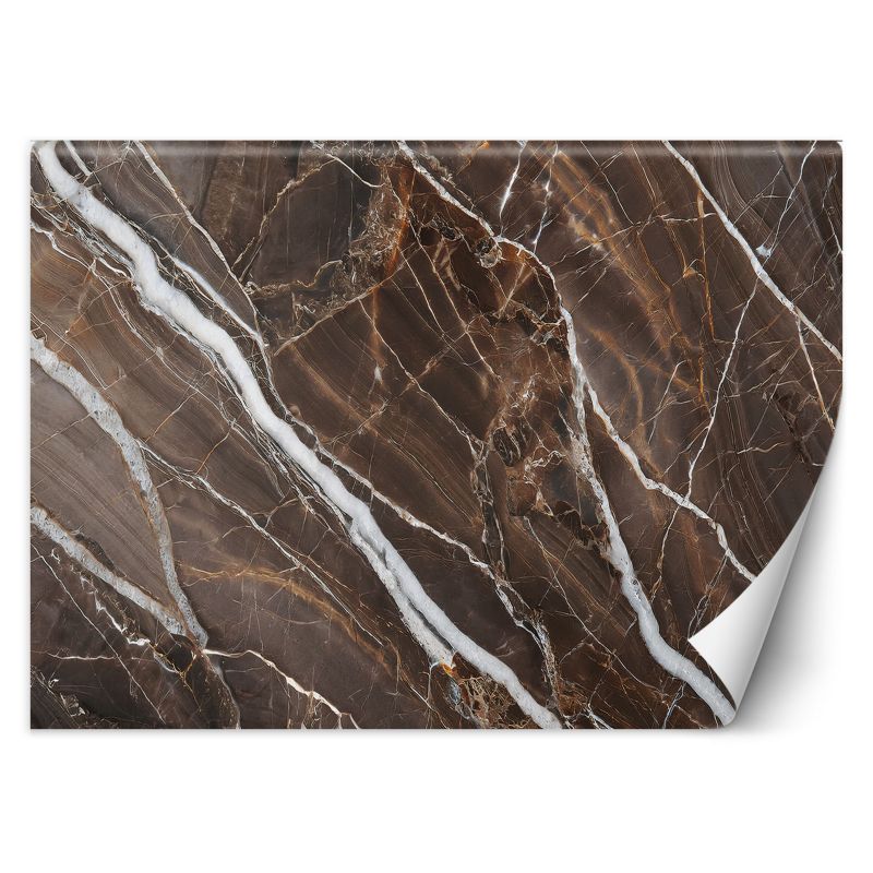 Fototapeta Feeby Brązowy Marmur Abstrakcja 400x280 1 szt