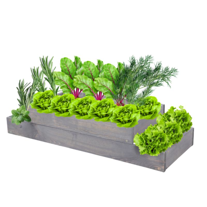 Skrzynia warzywna MODO24 regulowana inspekt 18x90x30 cm szare impregnowane drewno 1 szt