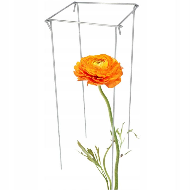 Podpora Kwiatowa KADAX Obejma Do Roślin Kwiatów 80 cm 1szt.