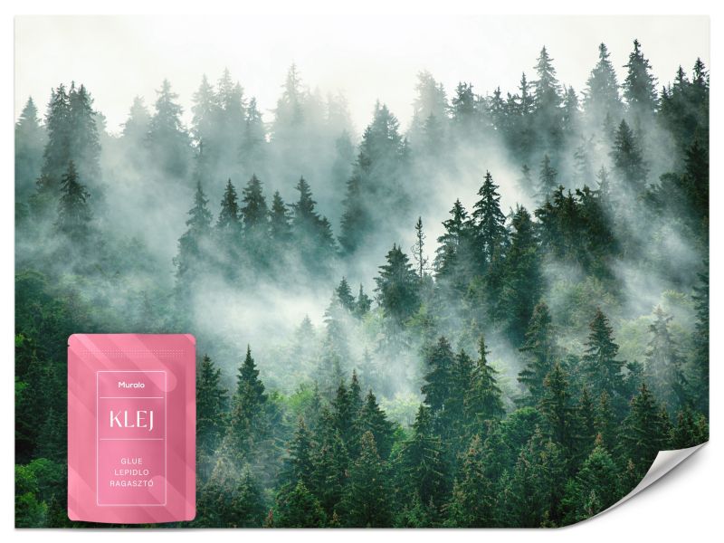 Fototapeta Muralo Barwny Las we Mgle 100x70 cm 1szt.