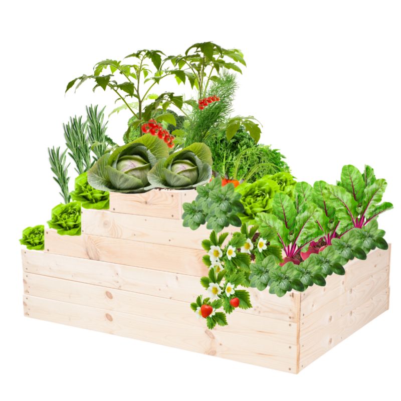 Grządka warzywna MODO24 regulowana inspekt 54x117x80 cm naturalne drewno 1 szt