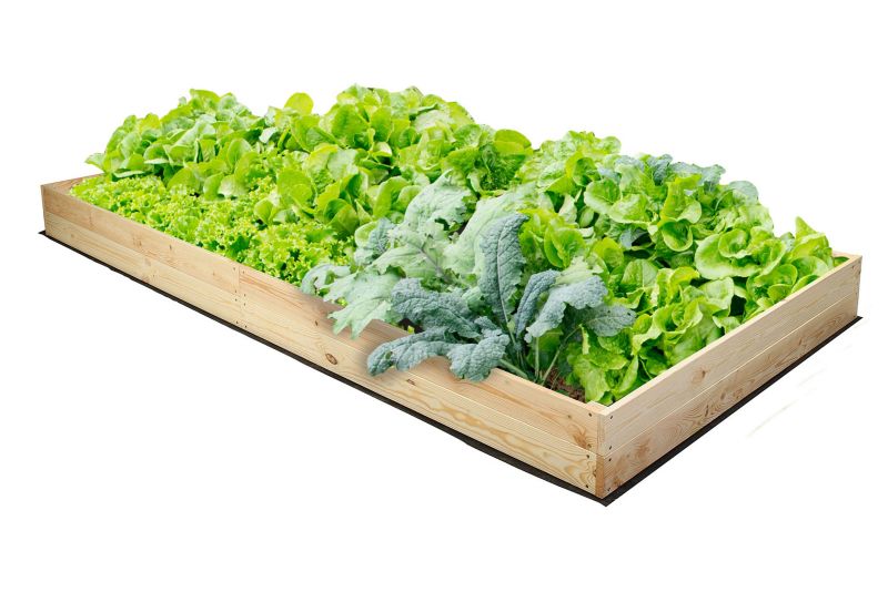 Warzywnik MODO24 grządka naturalne drewno 18x163x117 cm 1 szt.