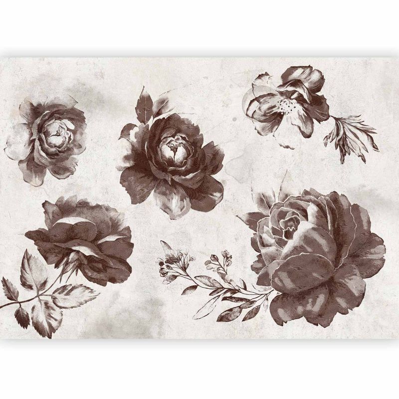 Fototapeta flizelinowa Artgeist 110g/m2 Kwiaty brązowa 200x140 (4 części) 0898ab rolka 1 szt