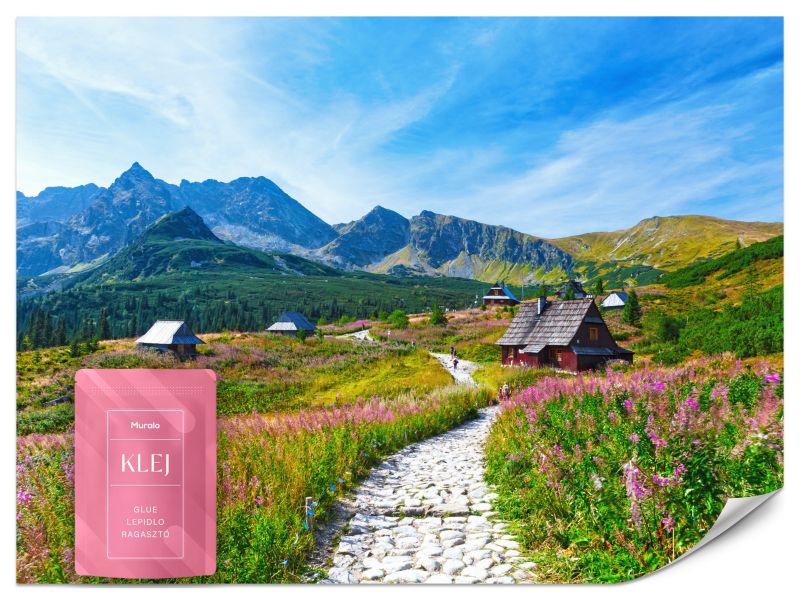 Fototapeta Muralo Ścieżka Górska Krajobraz 200x140 cm 1szt.