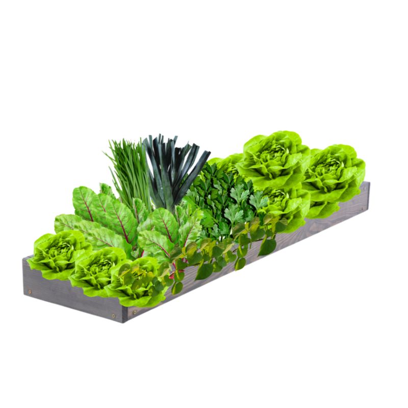 Skrzynia warzywna MODO24 regulowana donica 9x30x100 cm szare impregnowane drewno 1 szt