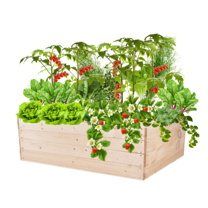 Donica na warzywa MODO24 grządka impregnowana przeźroczysta 36x120x100 cm 1 szt.