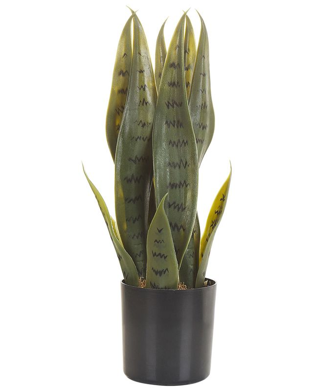 Sztuczna roślina Snake plant Zielony 1 szt.