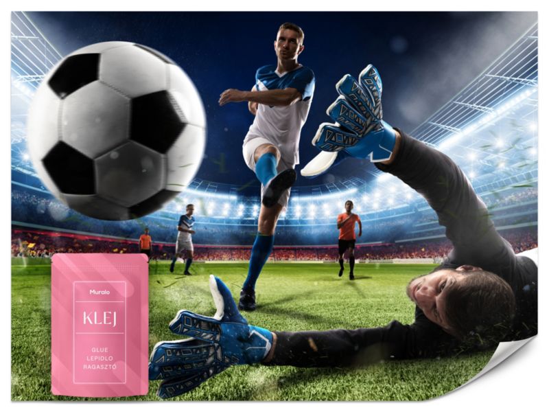 Fototapeta Muralo Mecz Piłki Nożnej 250x175 cm 1szt.