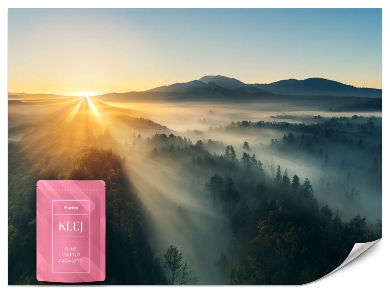 Fototapeta Muralo Wschód Słońca nad Górskim Lasem 100x70 cm 1szt.