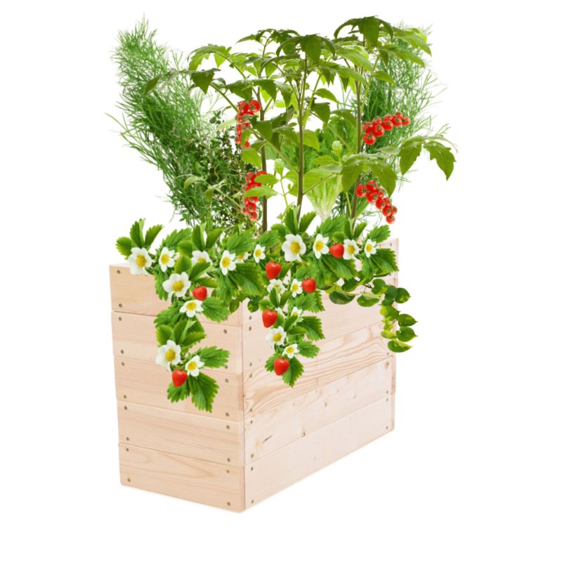 Skrzynia na warzywa MODO24 grządka naturalne drewno 45x63x30 cm 1 szt.