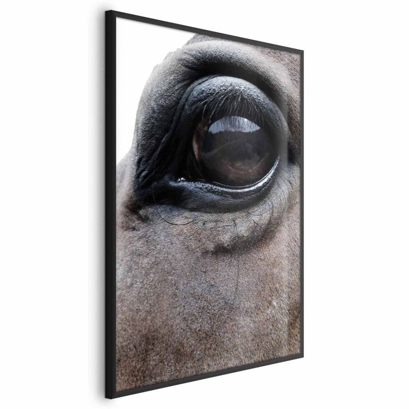 Plakat Artgeist Szczere oczy 40x60 cm z ramą czarną 1 szt