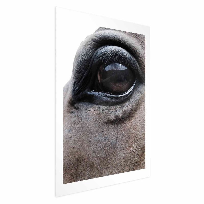 Plakat Artgeist Szczere oczy 21x30 cm bez ramy 1 szt