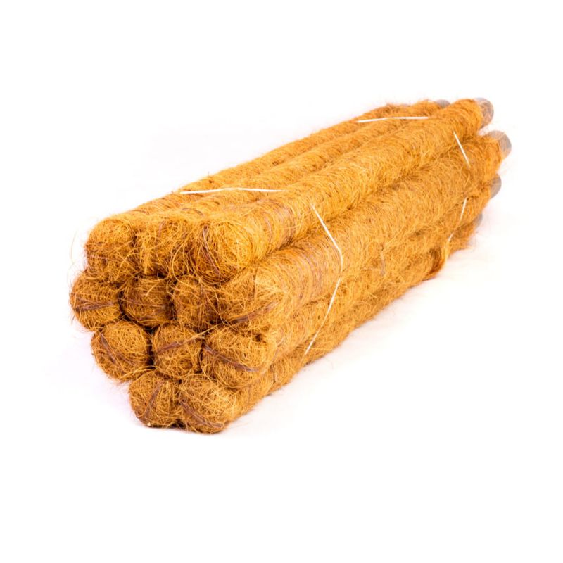 Palik kokosowy BMBS 150cm 50mm 3 szt.