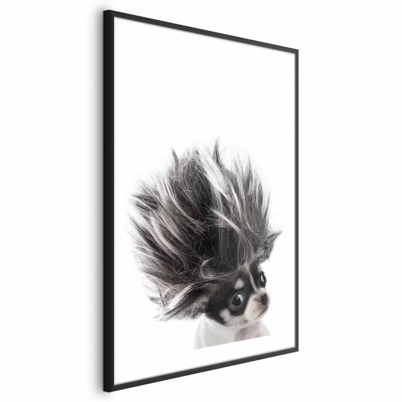 Plakat Artgeist Chihuahua 60x90 cm z ramą czarną 1 szt