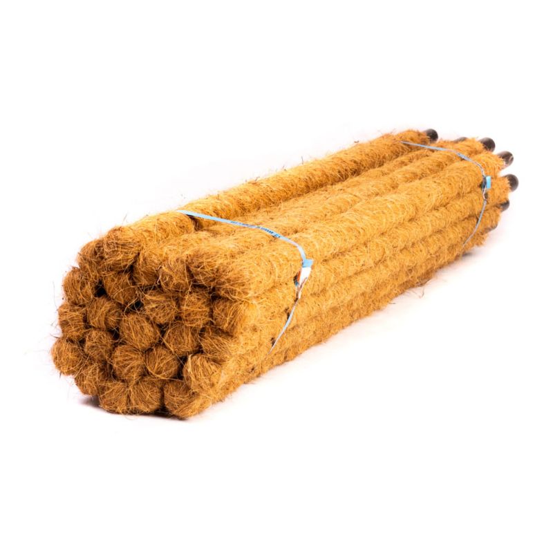 Palik kokosowy BMBS 160cm 32mm 3 szt.