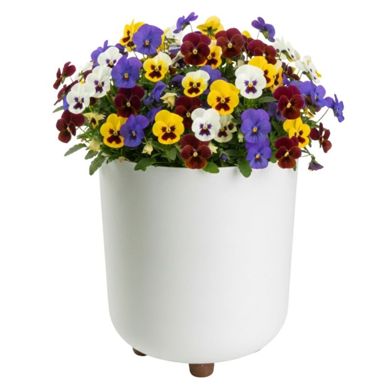 Doniczka plastikowa TERRA HowHomely na nóżkach kremowa owalna 24,2 cm 1 szt.