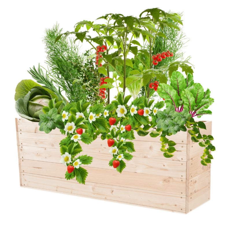 Donica na warzywa MODO24 inspekt impregnowana przeźroczysta 45x120x30 cm 1 szt.