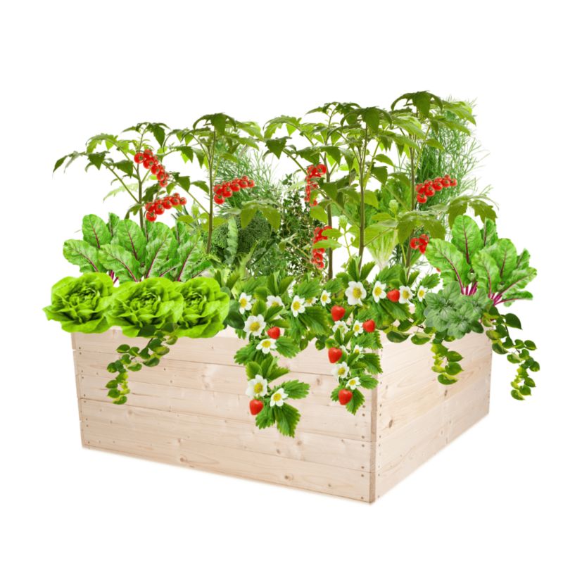 Donica na warzywa MODO24 grządka impregnowana przeźroczysta 45x103x100 cm 1 szt.