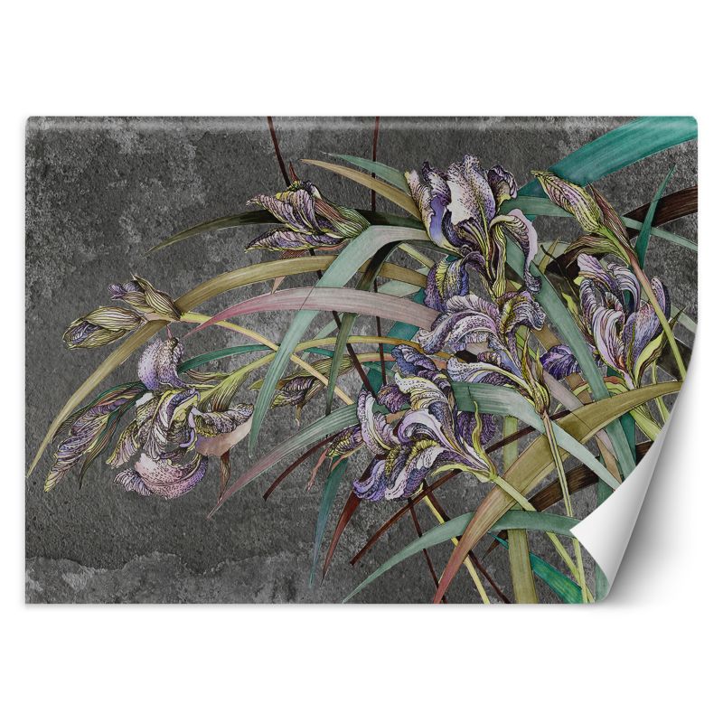 Fototapeta Feeby Kwiaty Irysy na wietrze 254x184 1 szt