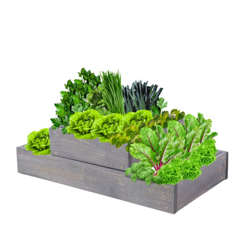 Skrzynia warzywna MODO24 regulowana donica 18x60x30 cm szare impregnowane drewno 1 szt