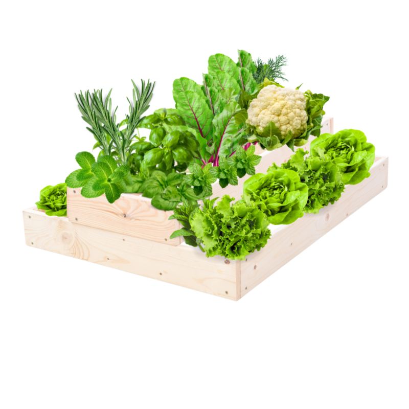 Skrzynia warzywna MODO24 regulowana donica 18x60x60 cm przezroczyste impregnowane drewno 1 szt