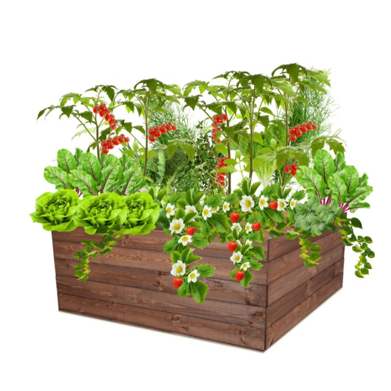 Warzywniak MODO24 grządka podwyższona brązowa impregnacja 45x120x117 cm 1 szt.