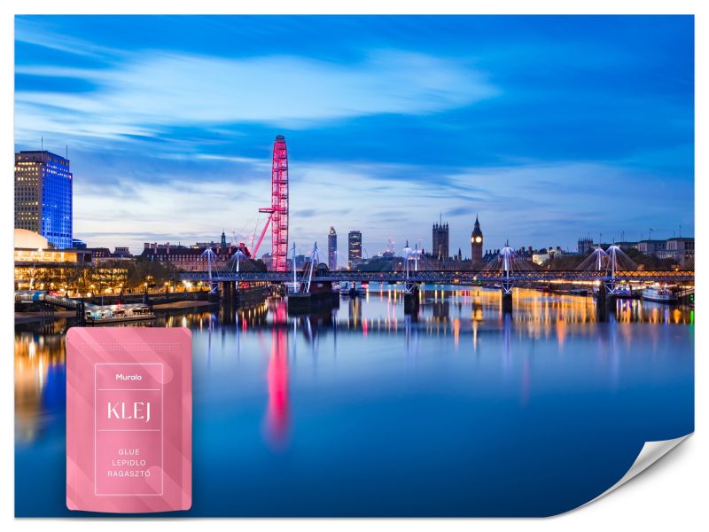 Fototapeta Muralo Panorama Londynu Krajobraz Miasta 300x210 cm 1szt.