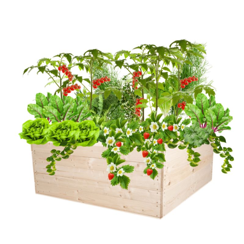 Donica na warzywa MODO24 inspekt impregnowana przeźroczysta 45x120x117 cm 1 szt.