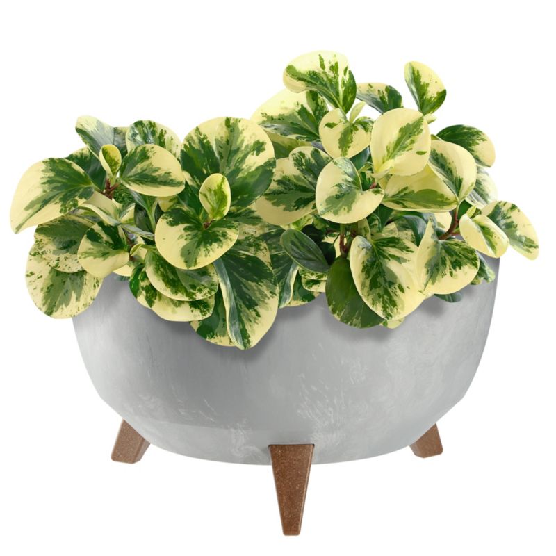 Doniczka KADAX Donica Na Kwiaty 40cm Osłonka + Wkład Nóżki Korek Kwietnik szary 1 szt.