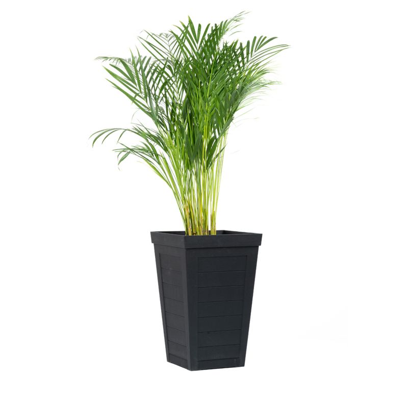 Donica 37x37x57 cm Savannah Planter Multy Home czarna 1 szt