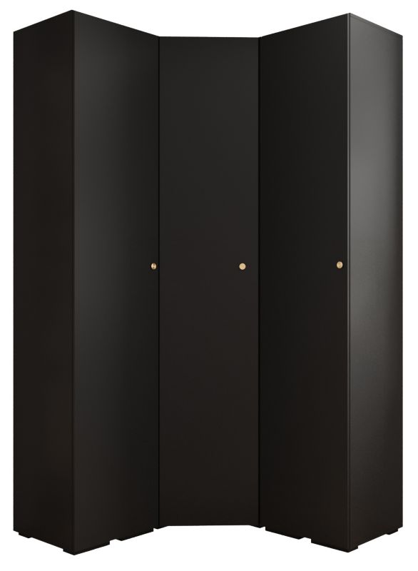 Garderoba wysoka do przedpokoju Abiks INOVA 2 Z4 czarny+złoty 1 szt.