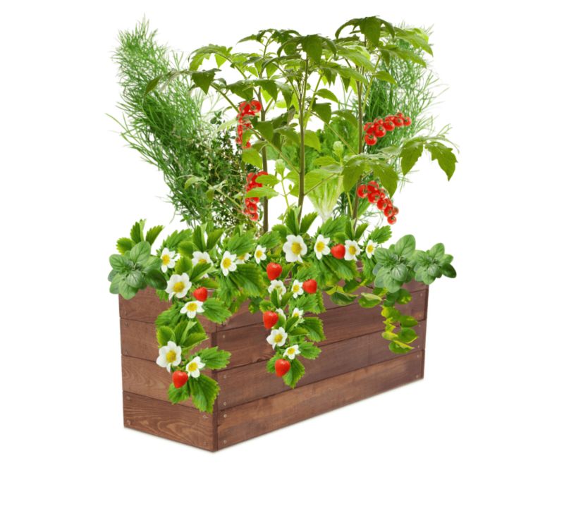 Warzywniak MODO24 grządka podwyższona brązowa impregnacja 36x103x30 cm 1 szt.