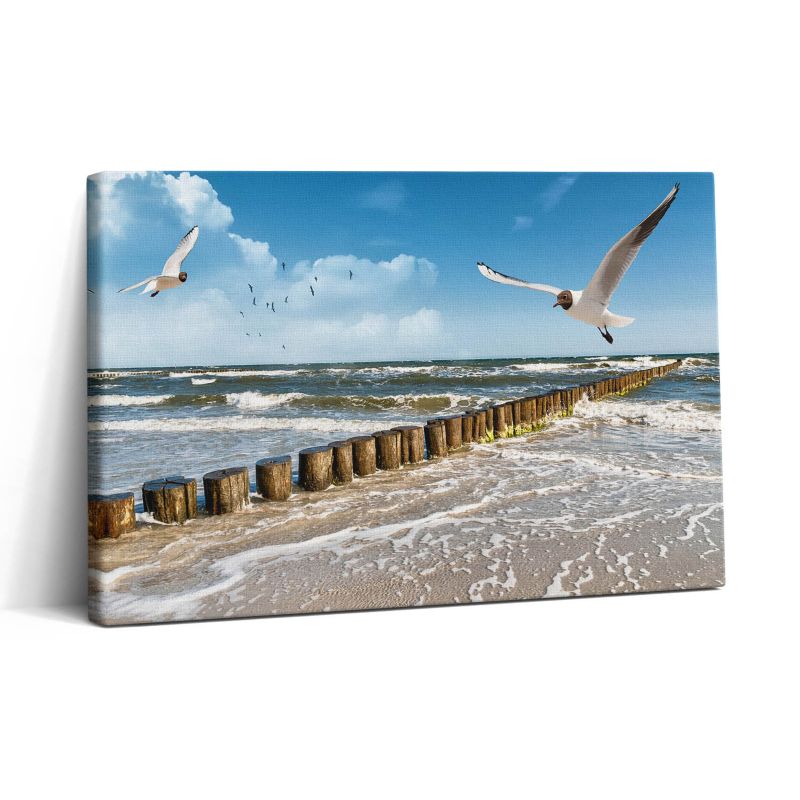 Obraz na płótnie Wallfluent 30x20 cm Ptak nad morzem 1 szt.