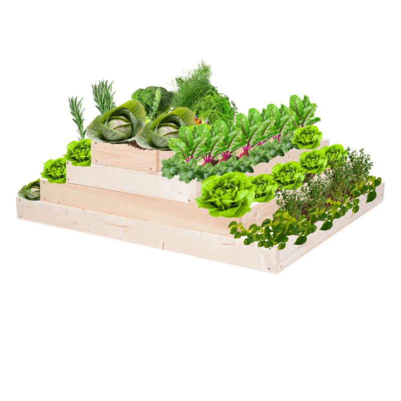 Skrzynia warzywna MODO24 regulowana donica 36x117x100 cm naturalne drewno 1 szt