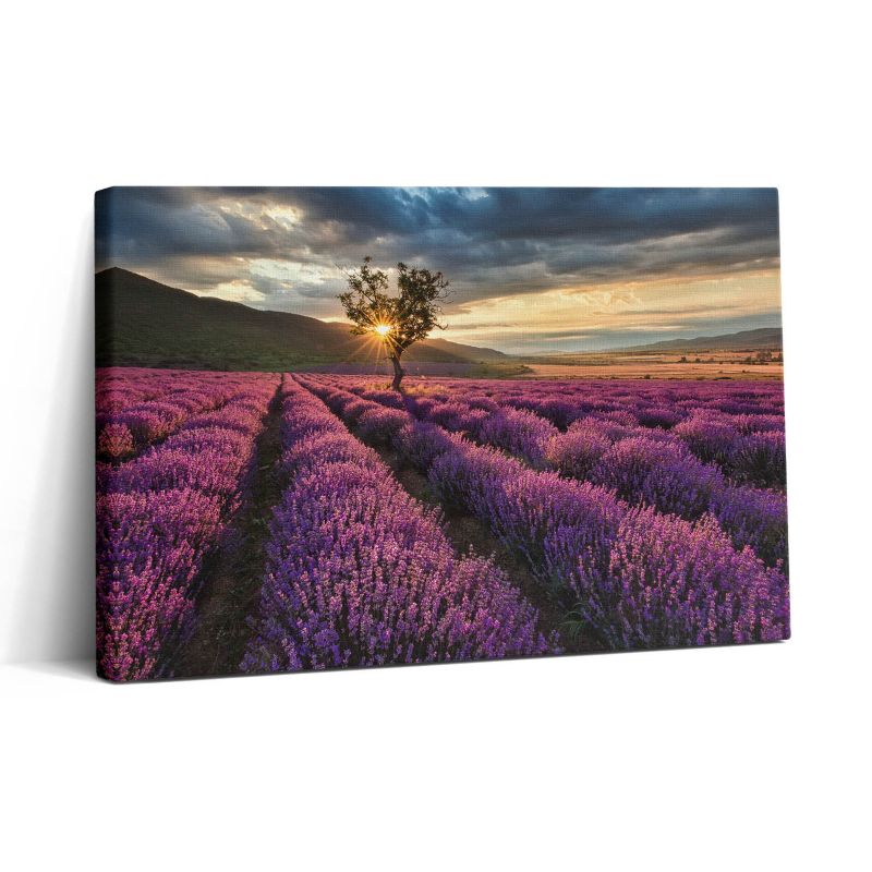 Obraz na płótnie Wallfluent 30x20 cm Pejzaż pola lawendy 1 szt.