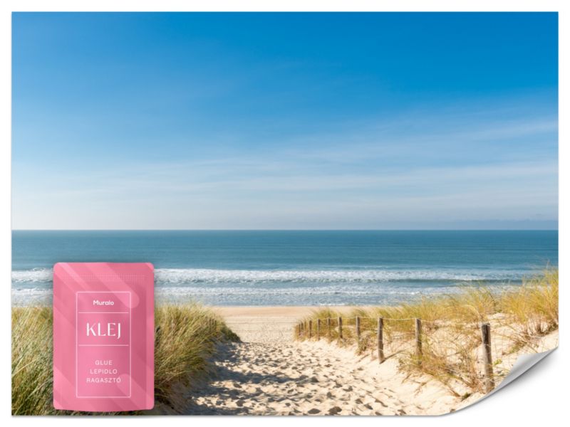 Fototapeta Muralo Widok na Morze 300x210 cm 1szt.