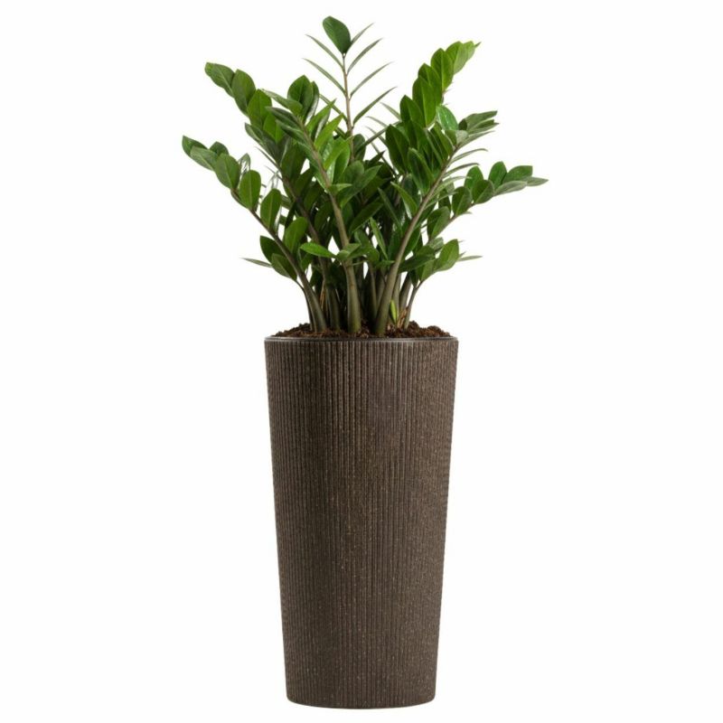 Wysoka doniczka Urbanika coffee HowHomely z wkładem plastikowa brązowa h36,4x19,6 cm 1 szt.