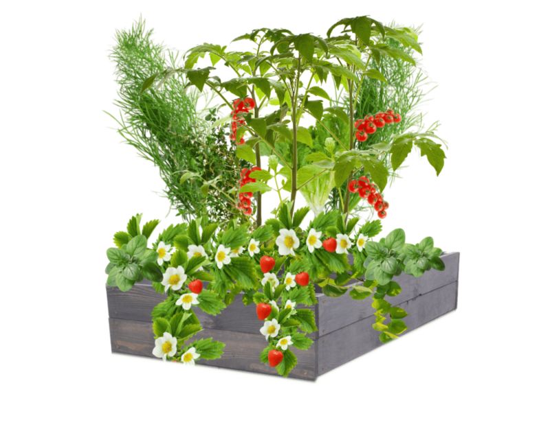 Warzywniak drewniany MODO24 donica 18x83x60 cm szara impregnacja 1 szt.