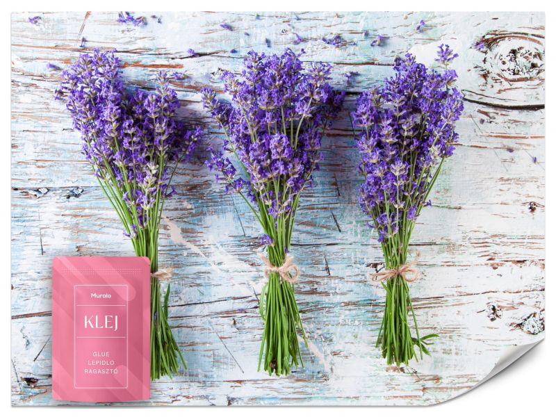 Fototapeta Muralo Kwiaty Lawendy Natura 500x350 cm 1szt.