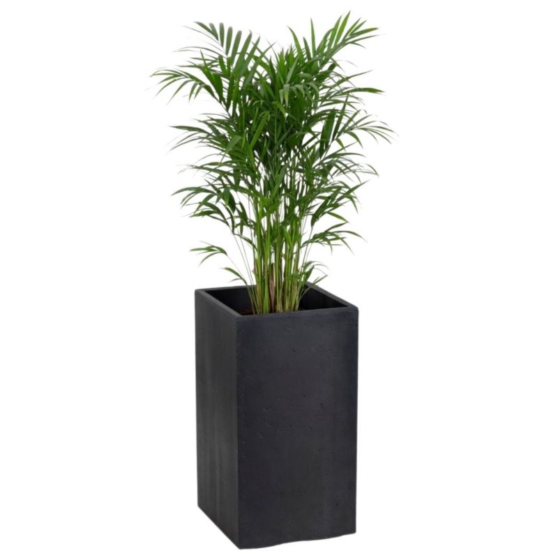 Donica na kółkach Betonique HowHomely czarny tworzywo sztuczne 30x30x60 cm 1 szt.