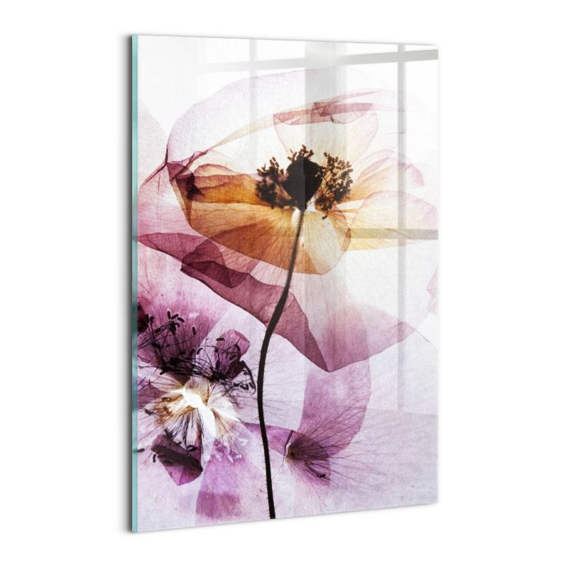 Foto Obraz Ścienny Szklany Wallfluent 30x20 cm Suche kwiaty maki 1 szt.