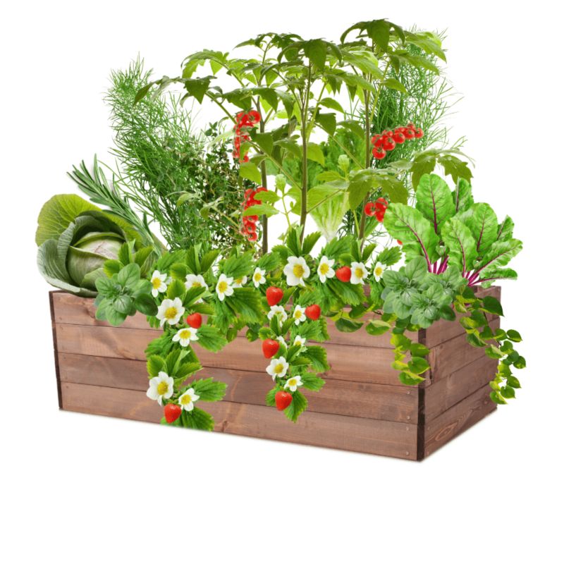 Grządka podwyższona MODO24 skrzynia brązowa impregnacja 36x120x80 cm 1 szt.