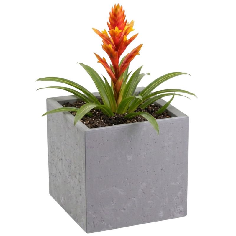 Donica na kółkach Betonique HowHomely szara, tworzywo sztuczne 30x30x30 cm 1 szt.